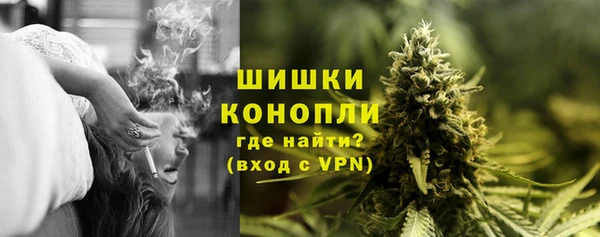 дмт Гусев