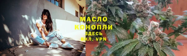 индика Гусь-Хрустальный