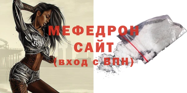 индика Гусь-Хрустальный