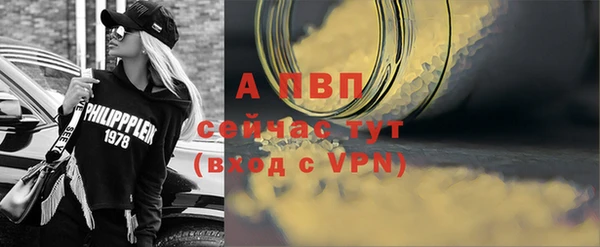 индика Гусь-Хрустальный