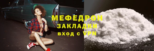 индика Гусь-Хрустальный