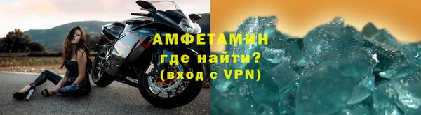 индика Гусь-Хрустальный