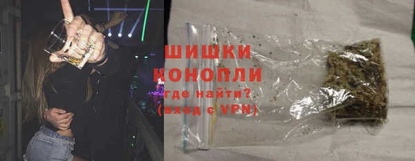 индика Гусь-Хрустальный