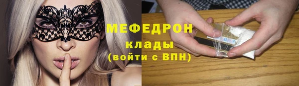 индика Гусь-Хрустальный