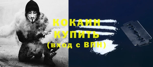 индика Гусь-Хрустальный