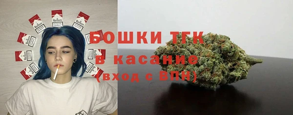 индика Гусь-Хрустальный