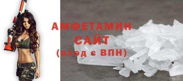 индика Гусь-Хрустальный
