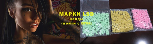 дмт Гусев