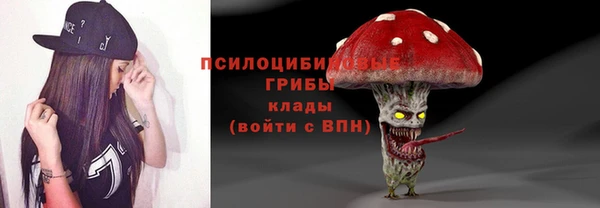 индика Гусь-Хрустальный