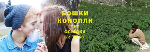 дмт Гусев
