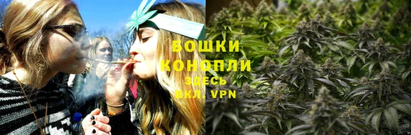 дмт Гусев