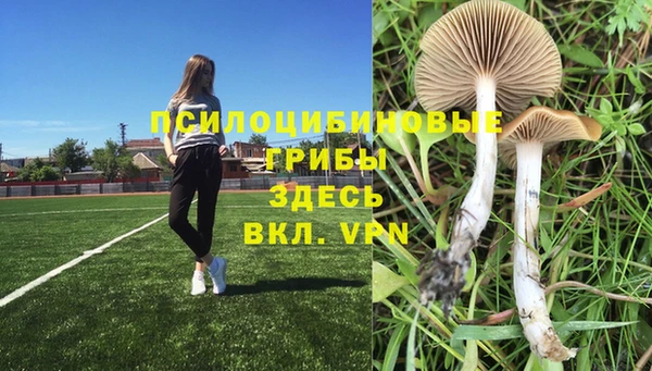меф VHQ Гусиноозёрск