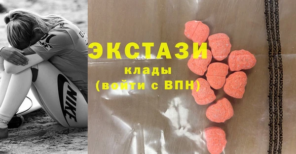индика Гусь-Хрустальный