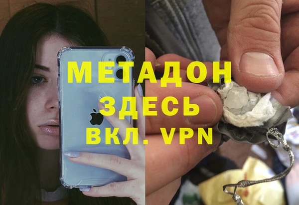 индика Гусь-Хрустальный
