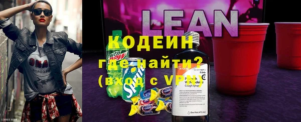дмт Гусев