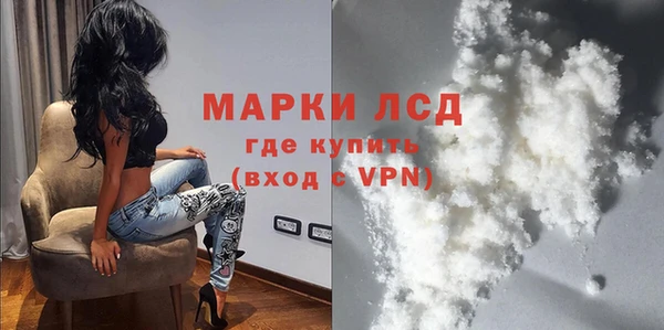дмт Гусев