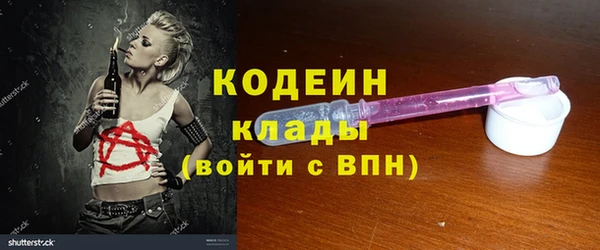 индика Гусь-Хрустальный